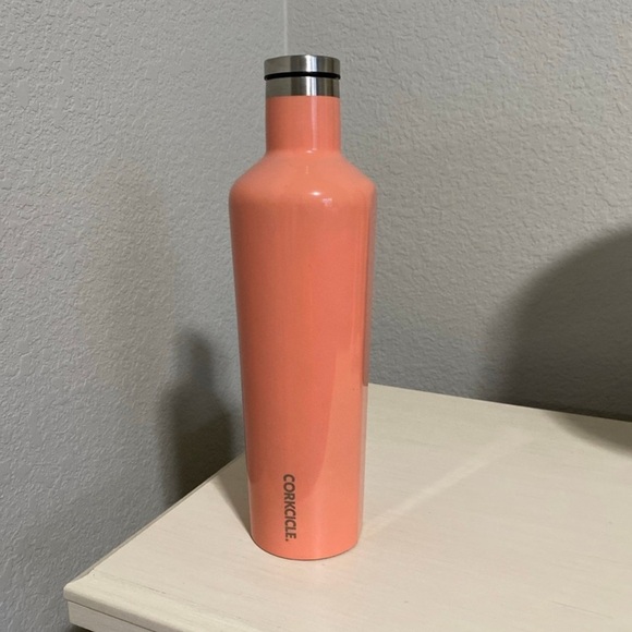 Corkcicle 25oz Canteen Water Bottle - Picture 1 of 7